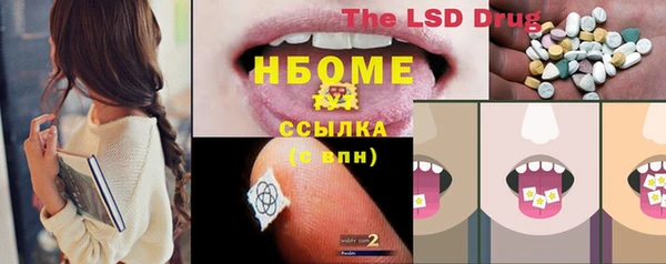 гашик Алзамай