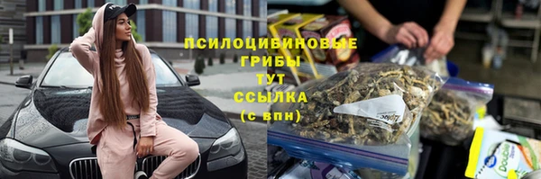 гашик Алзамай