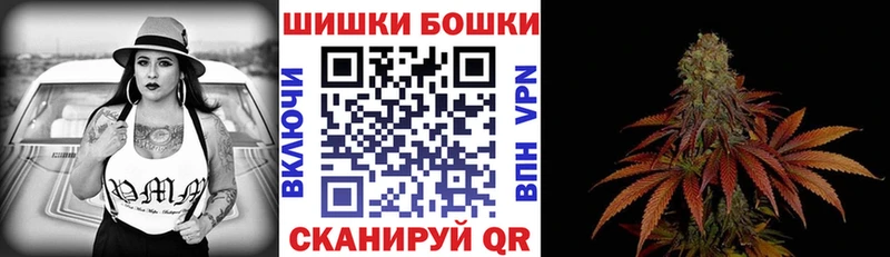 Бошки Шишки семена  сколько стоит  Калтан 